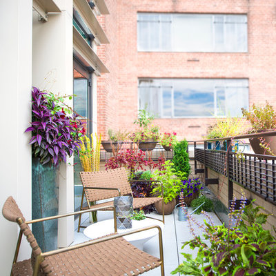 Small trendy balcony photo in Los Angeles with no cover