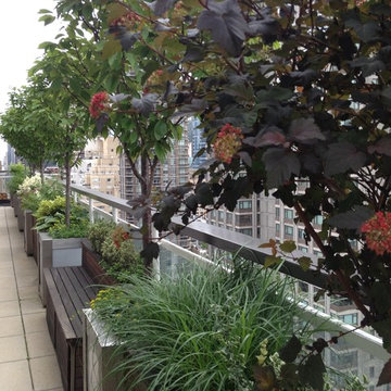 Manhattan House Rooftop