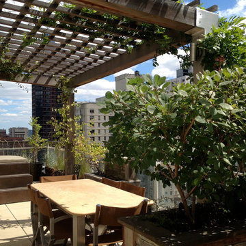 Manhattan House Rooftop