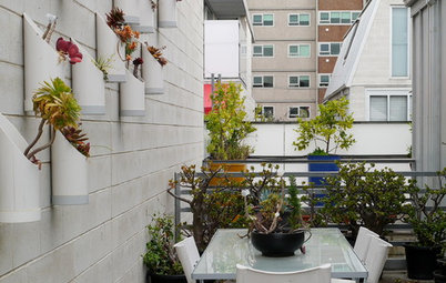 Outdoor Fix-Ups: Setting Up a Vertical Garden