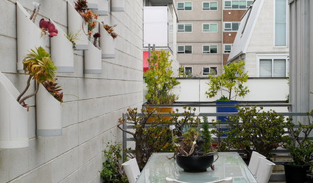 How to Plant Your Outdoor Vertical Garden