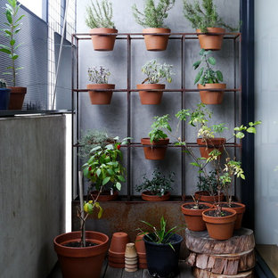 Modelo de balcones urbano, pequeño, en anexo de casas, con jardín vertical