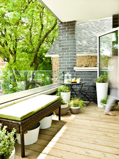 Transitional Balcony My Houzz: An Opposite-Tastes Couple Finds a Happy Medium