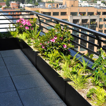Pearl District Terraces