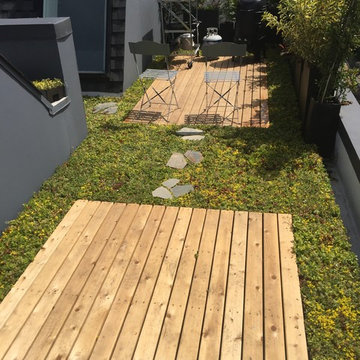 Residential Roof Area