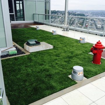 Rooftop Dog Area