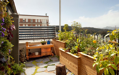Огород на балконе: Как выращивать фрукты и овощи в городе