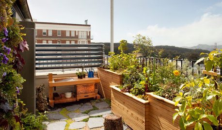 Огород на балконе: Как выращивать фрукты и овощи в городе