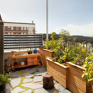 Balcony container garden - contemporary balcony container garden idea in San Francisco
