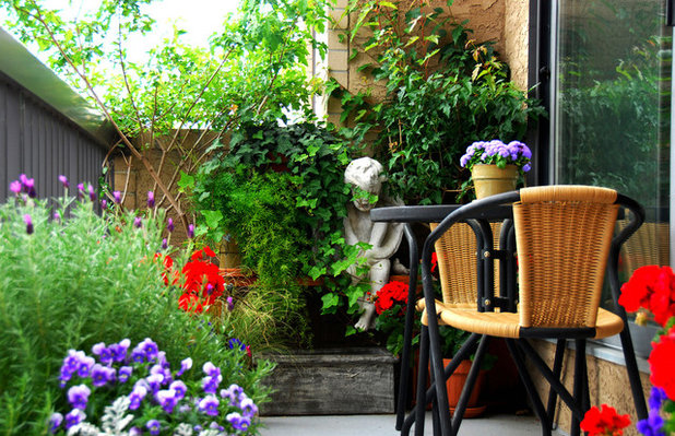 Contemporary Balcony Small Gardens