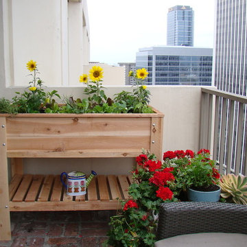 The City Salad Box