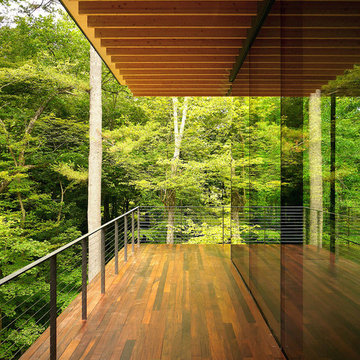 Wood and Glass House