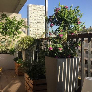 Aménagement paysager d'un balcon filant à Paris...