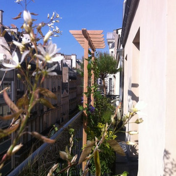 Aménagement paysager d'un balcon filant à Paris...