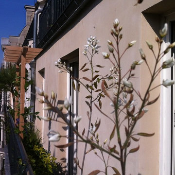 Aménagement paysager d'un balcon filant à Paris...