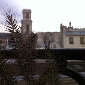 Aménagement paysager d'un mini balcon filant à Paris...