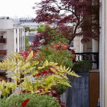Balcon - "Inversion des pôles" - ligne végétale sur un balcon haussmannien