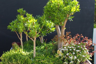Cette image montre un petit balcon minimaliste avec des plantes en pot.