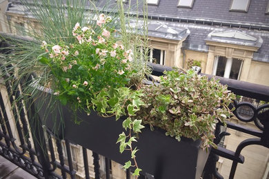 Exemple d'un petit balcon tendance avec des plantes en pot.