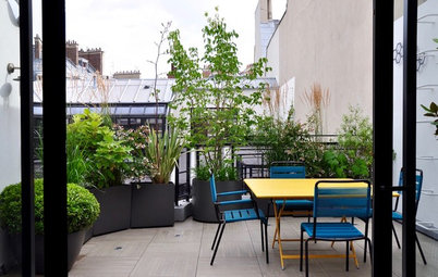 Avant/Après : Une terrasse urbaine se mue en écrin de verdure