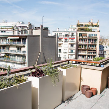 Terrasses modernes à Paris VI