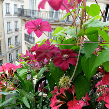 Un balcon filant à Paris Saint Germain...