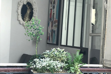 Idées déco pour un balcon contemporain de taille moyenne avec des plantes en pot.