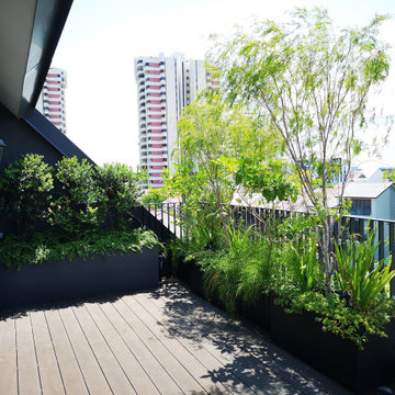 Modern Semi-D garden
