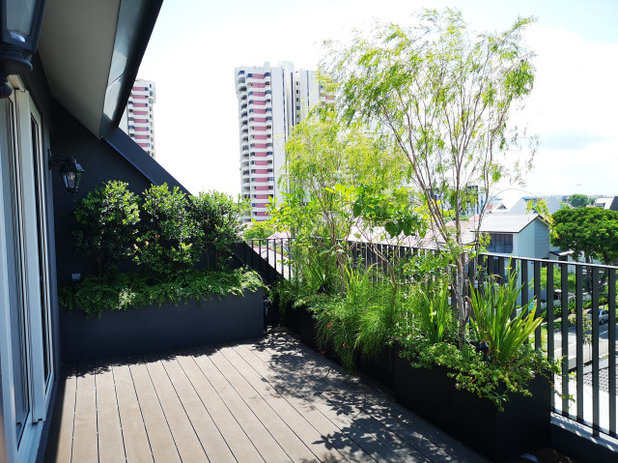 Eclectic Balcony by Passionscape Pte Ltd