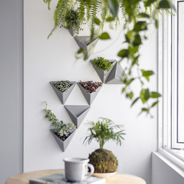Simple Grey Home - Indoor Garden