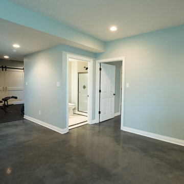 2009 Carmel, IN Basement Remodel