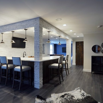 Aldie complete basement remodel
