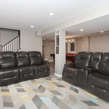 Arlington Heights Transitional Basement Remodel