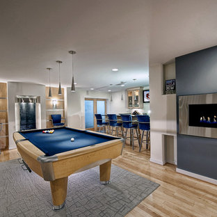 Ashburn Contemporary Basement - Pool Area