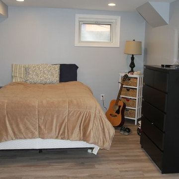 Basement & Guest Bedroom Remodel