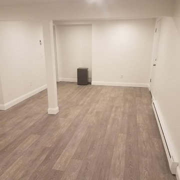 Basement, Bedroom, and Entertainment Room