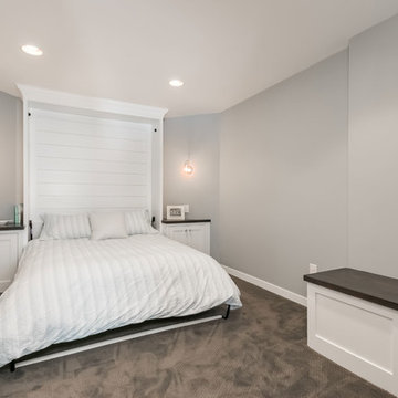 Basement Bedroom With Murphy Bed