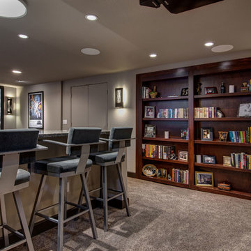 Basement bookcase and home theater