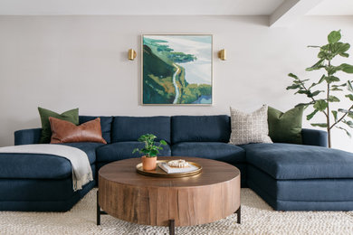 Transitional living room photo in Chicago