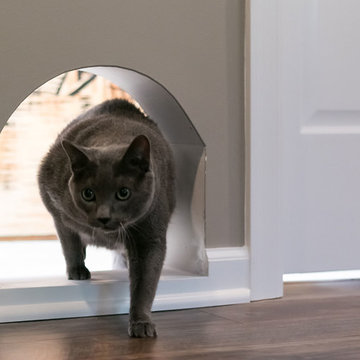 Basement Cat Door