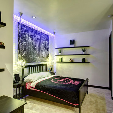 Basement Contemporary Bedroom