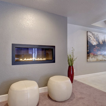 Basement Contemporary Fireplace