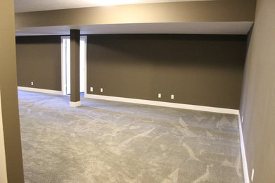 Example of a basement design in Chicago
