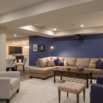 Basement Family Room