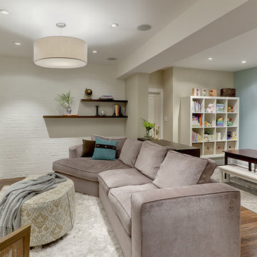 Basement Family Room