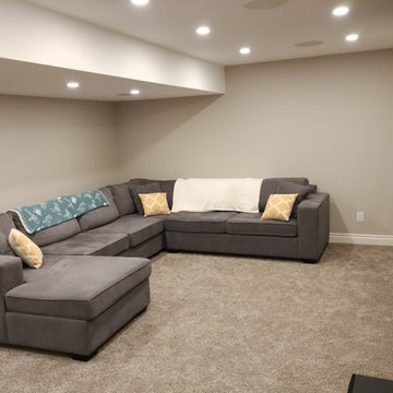 Basement Finish - Functional Space