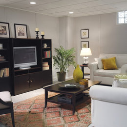 https://www.houzz.com/hznb/photos/basement-finishing-ideas-traditional-basement-detroit-phvw-vp~5780005