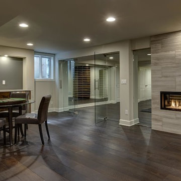 Basement Game Room, Fireplace and Glass Wall