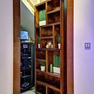 Basement Hidden Access Open