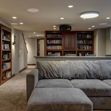 Basement Home Theater Bookcases